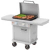 LoCo 2 Burner Liquid Propane Outdoor Griddle With Hood Gray -BBQ Haven Shop 8073481 A.eps High 69495.1692369581