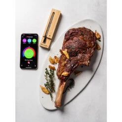 Traeger Meater Plus Bluetooth Enabled Meat Thermometer RT1-MT-MP01 -BBQ Haven Shop 8074664 A V2.eps High 21825.1649003850