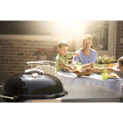 Weber Charcoal Performer 22" Deluxe -BBQ Haven Shop 8406704 A V8.eps High 89760.1639945786